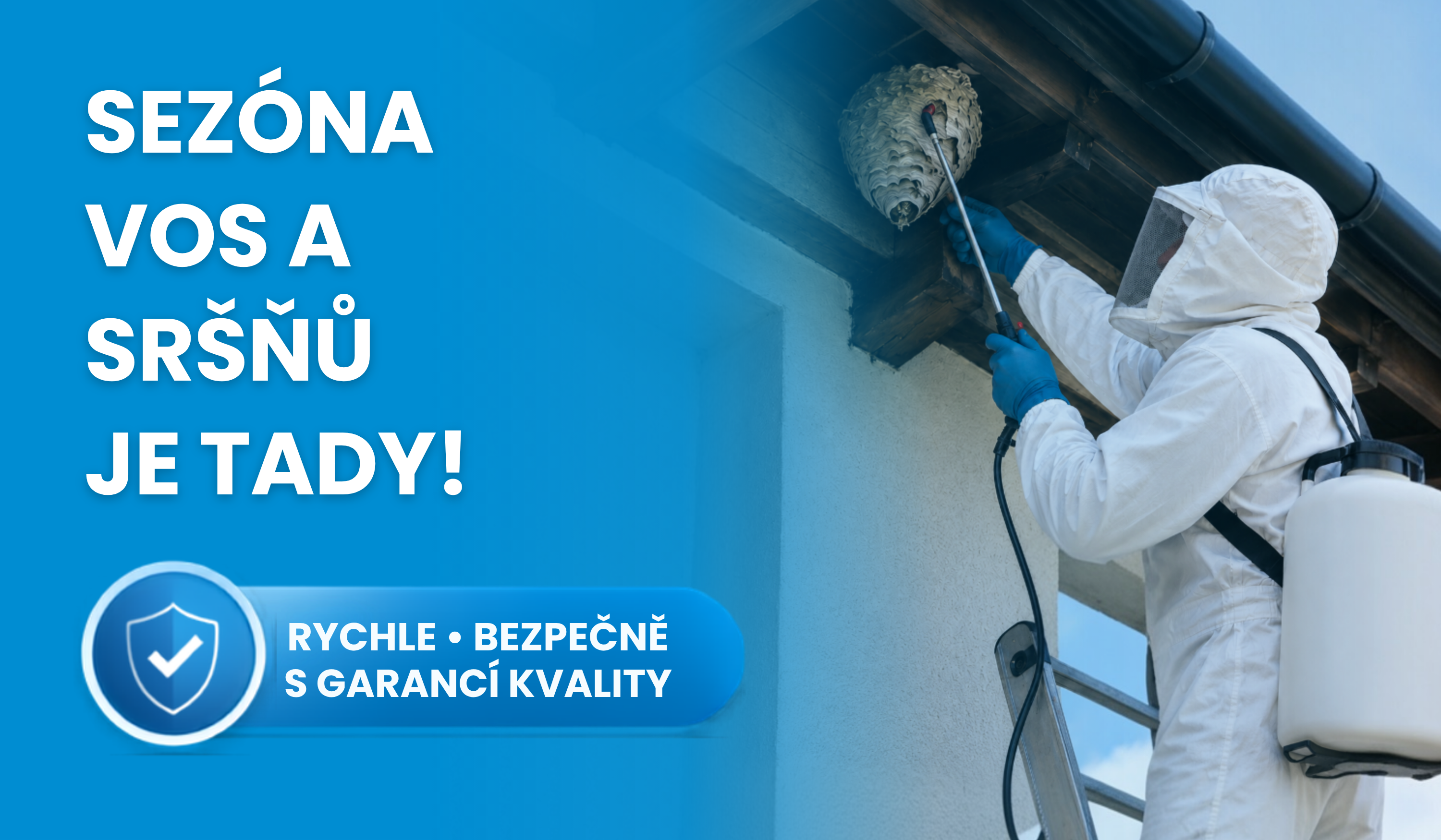 Sezóna vos a sršňů je tady: odborná pomoc s hnízdy v Táboře a jižních Čechách
